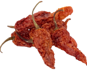 Oven  Dried Bhut Jolokia (Ghost Pepper)