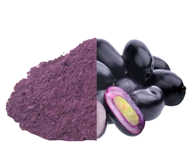 Jamun Powder