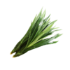 Pandan Leaves