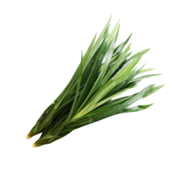 Pandan Leaves