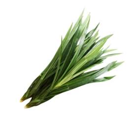 Pandan Leaves