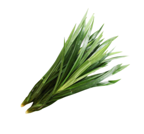 Pandan Leaves