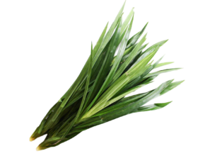 Pandan Leaves