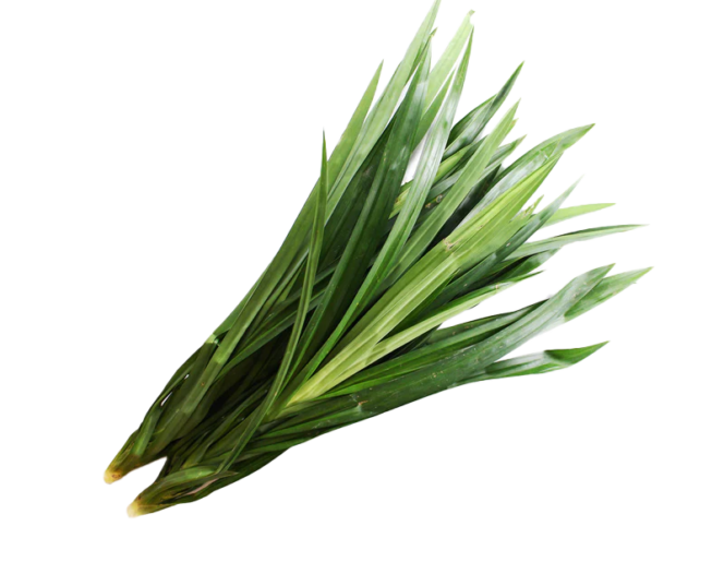 Pandan Leaves