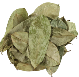 Dried Soursop Leaves