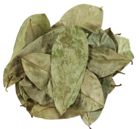 Dried Soursop Leaves