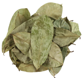 Dried Soursop Leaves