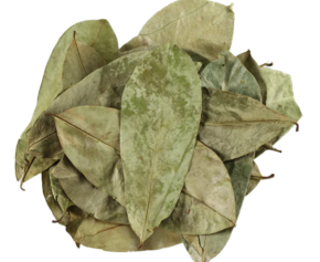 Dried Soursop Leaves