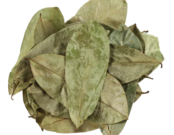 Dried Soursop Leaves