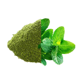 Mint Leaves Powder