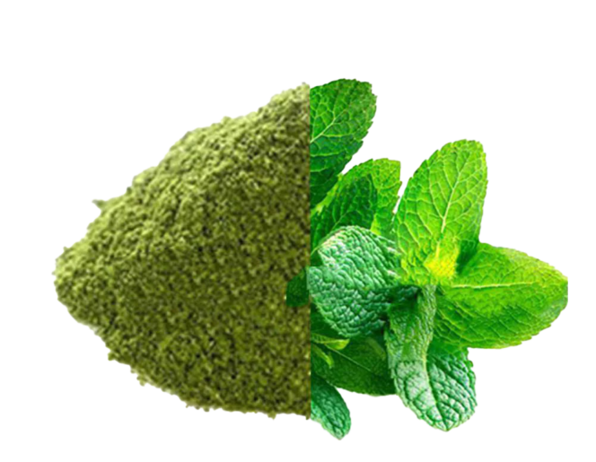 Mint Leaves Powder