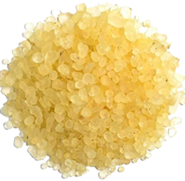 Gum Mastic