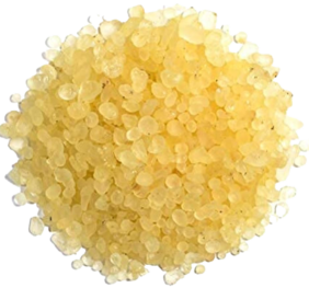 Gum Mastic