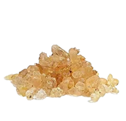 Asafoetida Gum