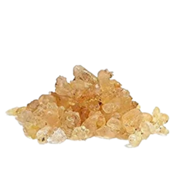 Asafoetida Gum