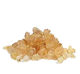 Asafoetida Gum