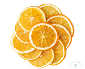 Dried Orange Slices