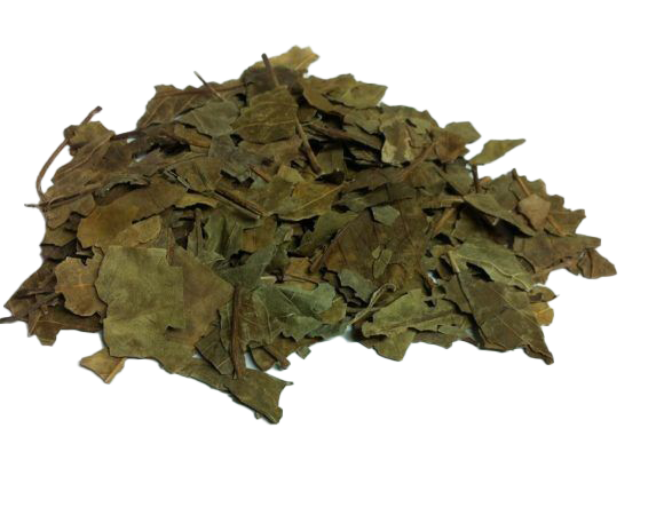 Dried Bhel Leaves( Aegle marmelos)